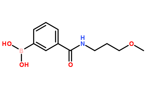 3-(3-甲氧基丙基氨基甲酰)苯硼酸