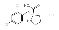 (2S)-2-[(2,4-dichlorophenyl)methyl]pyrrolidine-2-carboxylic acid,hydrochloride