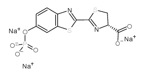 D-虫荧光素 6’-O-磷酸三钠盐