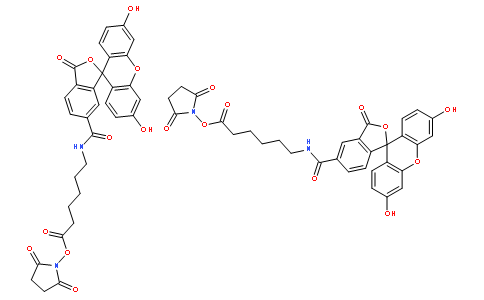 6-[荧光素-5(6)-甲酰氨基]-己酸-N-羟基琥珀酰亚胺酯