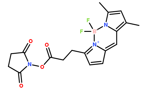 硼,[1-[3-[5-[(3,5-二甲基-2H-吡咯-2-亚基-kN)甲基]-1H-吡咯-2-基-kN]-1-羰基丙氧基]-2,5-吡咯烷二酮酸根]二氟-,(T-4)-