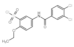 5-(3,4-二氯苯甲酰氨基)-2-乙氧基苯磺酰氯