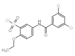 5-(3,5-二氯苯甲酰氨基)-2-乙氧基苯磺酰氯