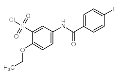2-乙氧基-5-(4-氟苯甲酰氨基)-苯磺酰氯