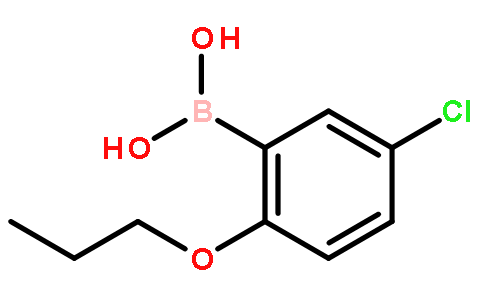 5-氯-2-丙氧基苯基硼酸