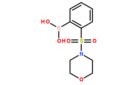2-吗啉磺酰基苯硼酸