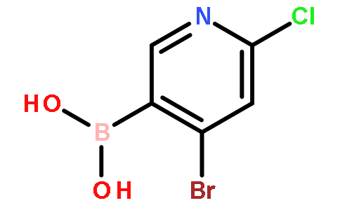 4-溴-2-氯吡啶-5-硼酸