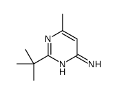2-叔丁基-6-甲基-嘧啶-4-胺