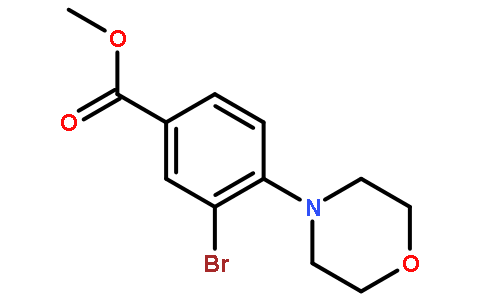 3-溴-4-(4-吗啉基)苯甲酸甲酯