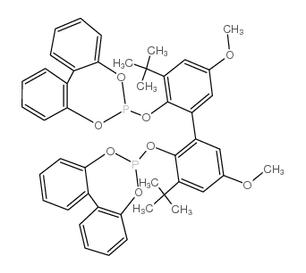 6,6′-[(3,3′-二叔丁基-5,5′-二甲氧基-1,1′-二苯基-2,2′-二基)双(氧)]双(二苯并[d,f][1,3,2]二噁磷杂庚英)