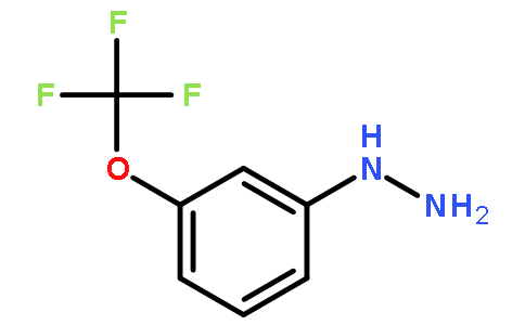 3-三氟甲氧基苯肼