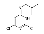 2,6-dichloro-N-(2-methylpropyl)pyrimidin-4-amine