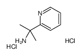 2-(2-吡啶基)-2-丙胺二盐酸盐