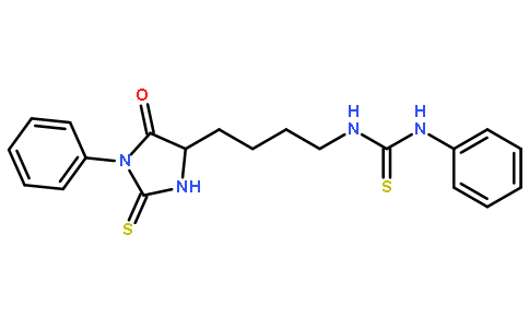 苯基硫代乙内酰脲-(Nε-苯基硫代氨基甲酰)-赖氨酸