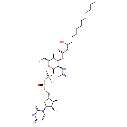 UDP-3-O-[(3R)-3-hydroxytetradecanoyl]-N-acetyl-α-glucosamine