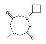 环丁基硼酸 MIDA 酯