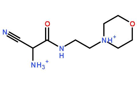 2-氨基-2-氰基-N-(2-嗎啉乙基)乙酰胺