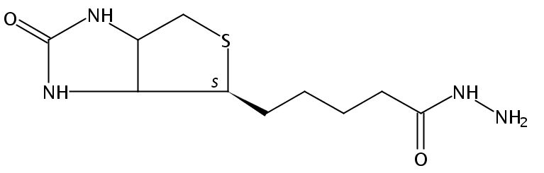 5-((4S)-2-Oxohexahydro-1H-thieno[3,4-d]imidazol-4-yl)pentanehydrazide
