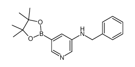 5-N-苄基-氨基-吡啶-3-基硼酸频那醇酯