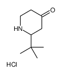 2-tert-butylpiperidin-4-one,hydrochloride