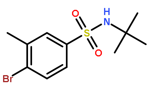 4-溴-N-叔丁基 3-甲基苯磺酰胺