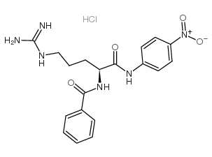盐酸-NA-苯甲酰-1-精氨酸酰-4-硝基苯胺