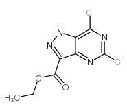 5,7-二氯-1H-吡唑并[4,3-d]嘧啶-3-羧酸乙酯