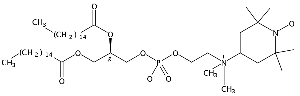 1,2-dipalmitoyl-sn-glycero-3-phospho(tempo)choline