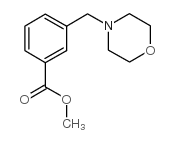 3-(4-吗啉基甲基)苯甲酸甲酯