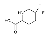 5,5-Difluoropiperidine-2-carboxylic acid