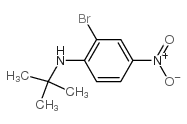 2-溴-N-叔丁基-4-硝基苯胺