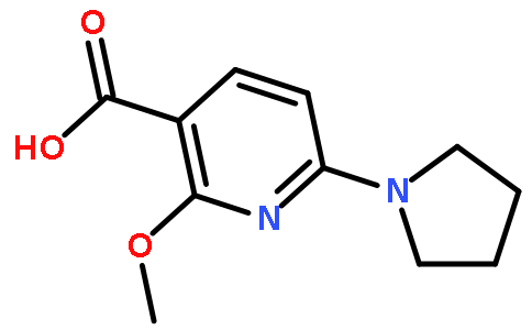 2-甲氧基-6-(吡咯烷-1-基)烟酸