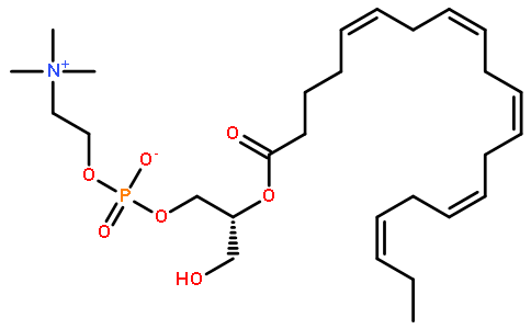 2-Eicosapentaenoyl-sn-glycerol-3-phosphocholine