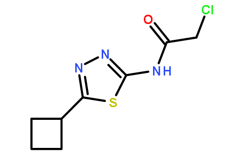 2-氯-N-(5-环丁基-[1,3,4]噻二唑-2-基)-乙酰胺
