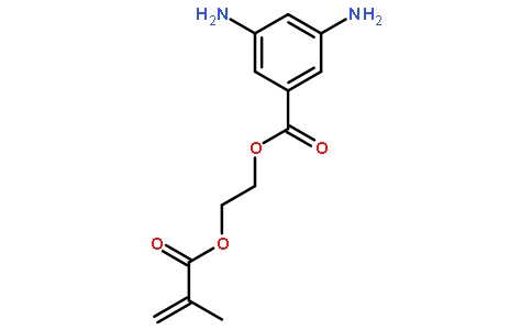2-(甲基丙烯酸)乙酯3,5-二氨基苯甲酸