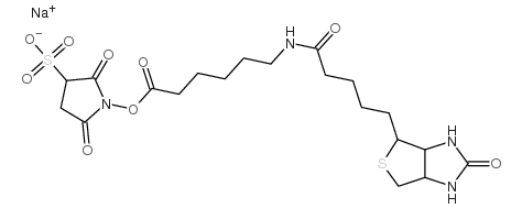 Sulfo-N-succinimidyl 6-(biotinamido) hexanoate Sodium Salt