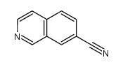 异喹啉-7-甲腈