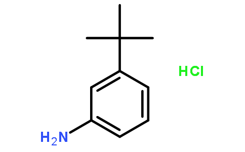 3-叔丁基苯胺 盐酸盐