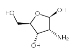 β-D-Ribofuranose, 2-amino-2-deoxy- (9CI)