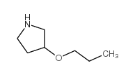 3-丙氧基吡咯烷