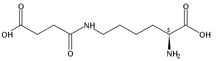 Lysine(succinyl)-oh