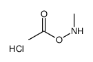 O-乙酰基-N-甲基羟胺盐酸盐