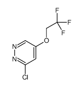 3-Chloro-5-(2,2,2-trifluoroethoxy)pyridazine