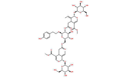 2-(4-羟基苯基)乙基 2,6-二-O-{[(2S,3E)-3-亚乙基-2-(β-D-吡喃葡萄糖氧基)-5-(甲酯基<甲氧羰基>)-3,4-二氢-2H-吡喃-4-基]乙酰基}-β-D-吡喃葡萄糖苷