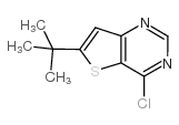 6-叔丁基-4-氯噻酚[3,2-D]嘧啶