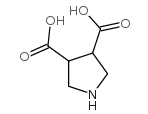 吡咯烷-3,4-二羧酸