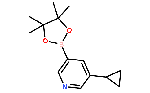 3-环丙基-5-吡啶硼酸酯