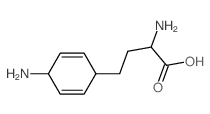 氨基丁酸霉素