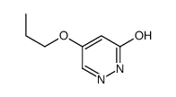 4-propoxy-1H-pyridazin-6-one