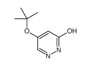 4-[(2-methylpropan-2-yl)oxy]-1H-pyridazin-6-one